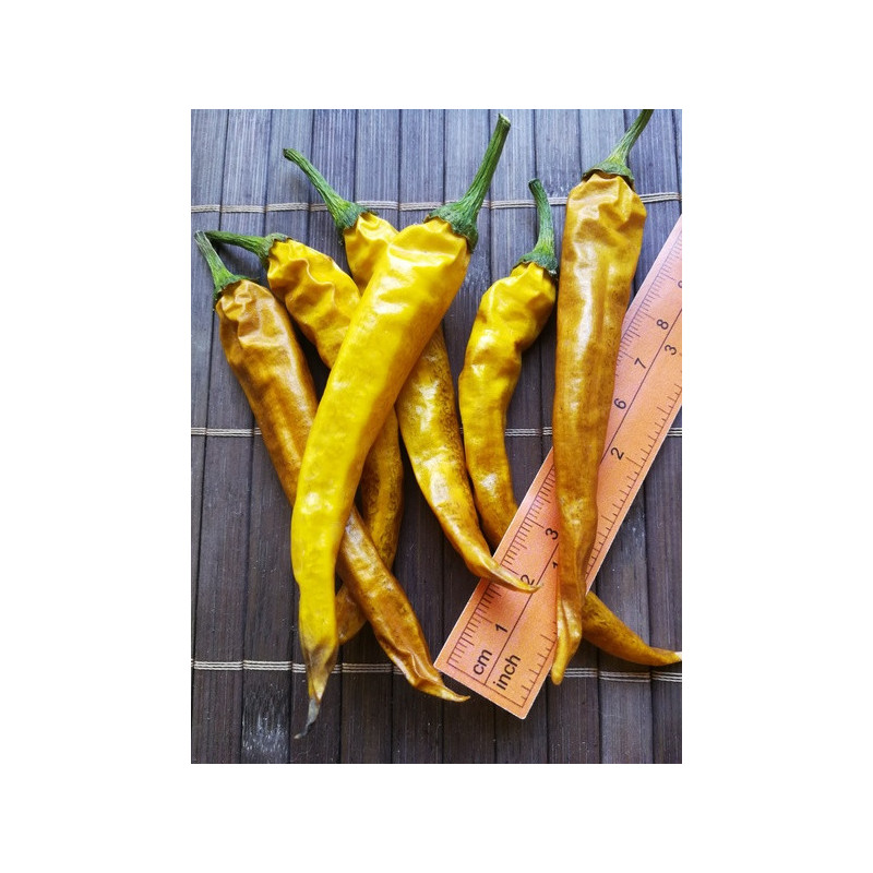 Golden Cayenne Pepper Seeds